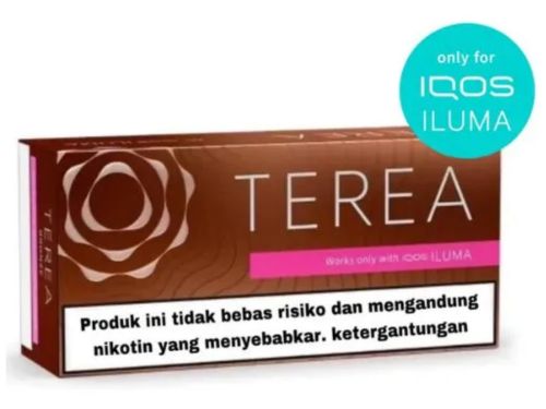 Heets Terea Bronze Indonesian