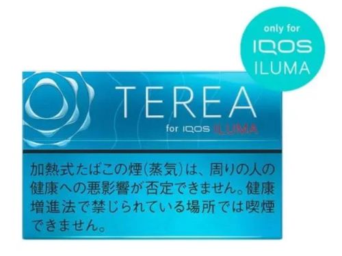 Heets TEREA Regular