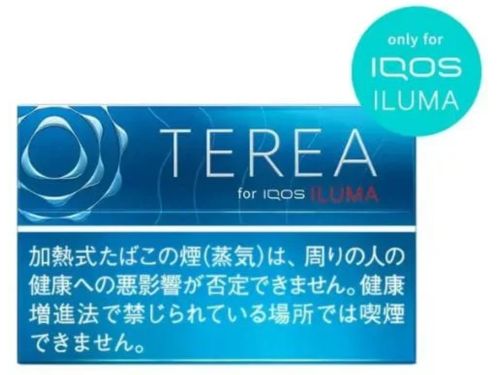 Heets TEREA Rich Regular